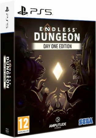 PS5 Endless Dungeon Day One Edition [RU sub]